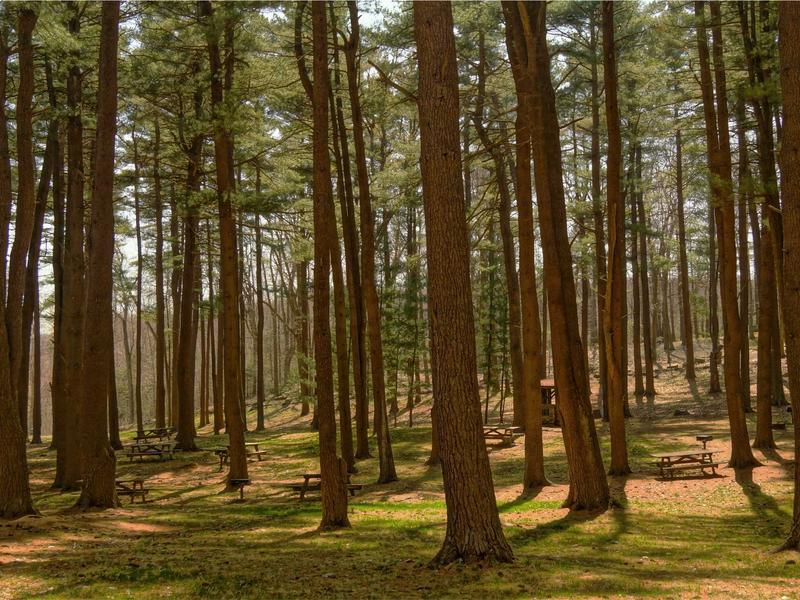 sudoku nature theme screenshot 2